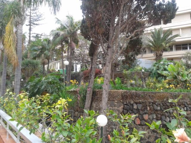 Tranquilo Apartamento Puerto De La Cruz Esterno foto